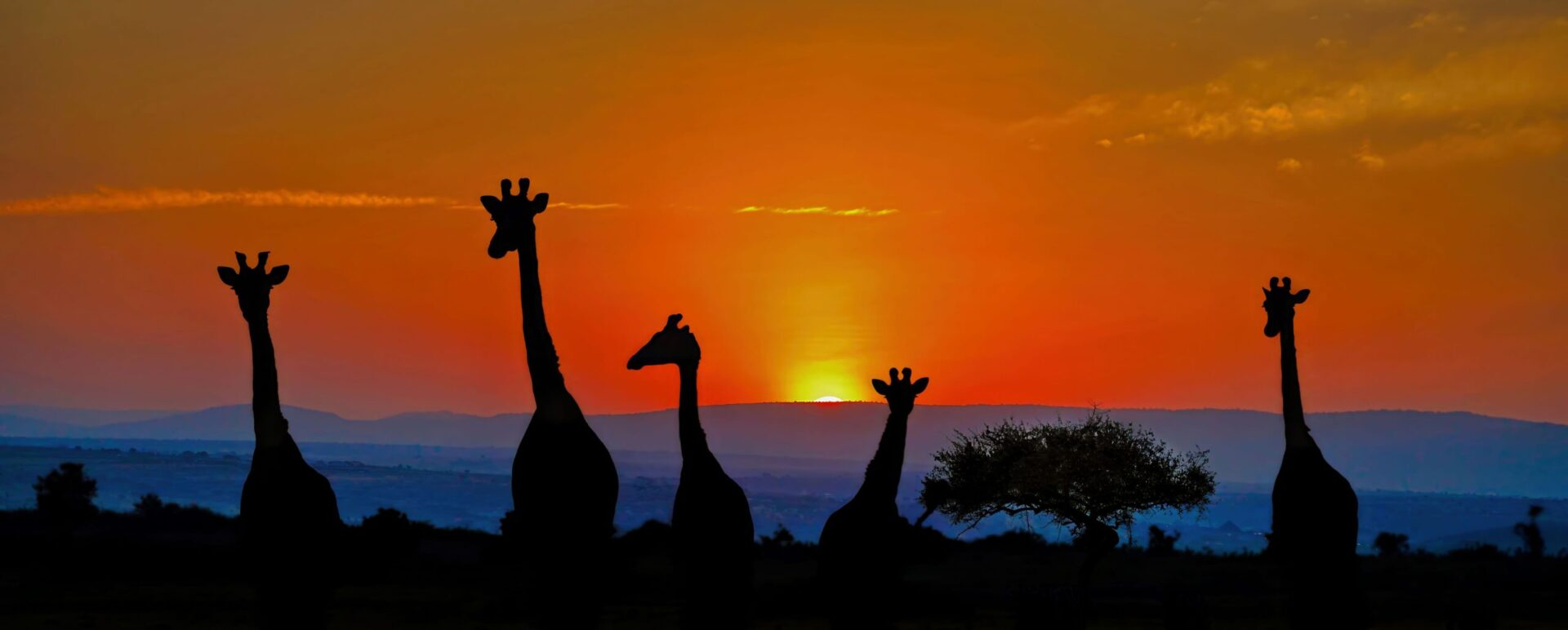 Morning comes to the Mara