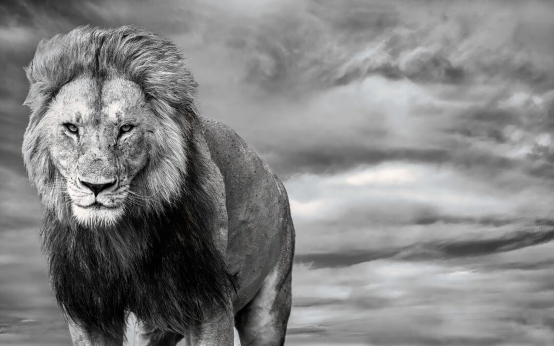 Did we really get that close?