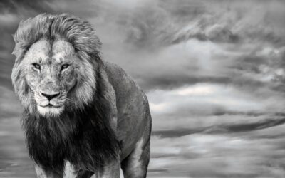 Did we really get that close?