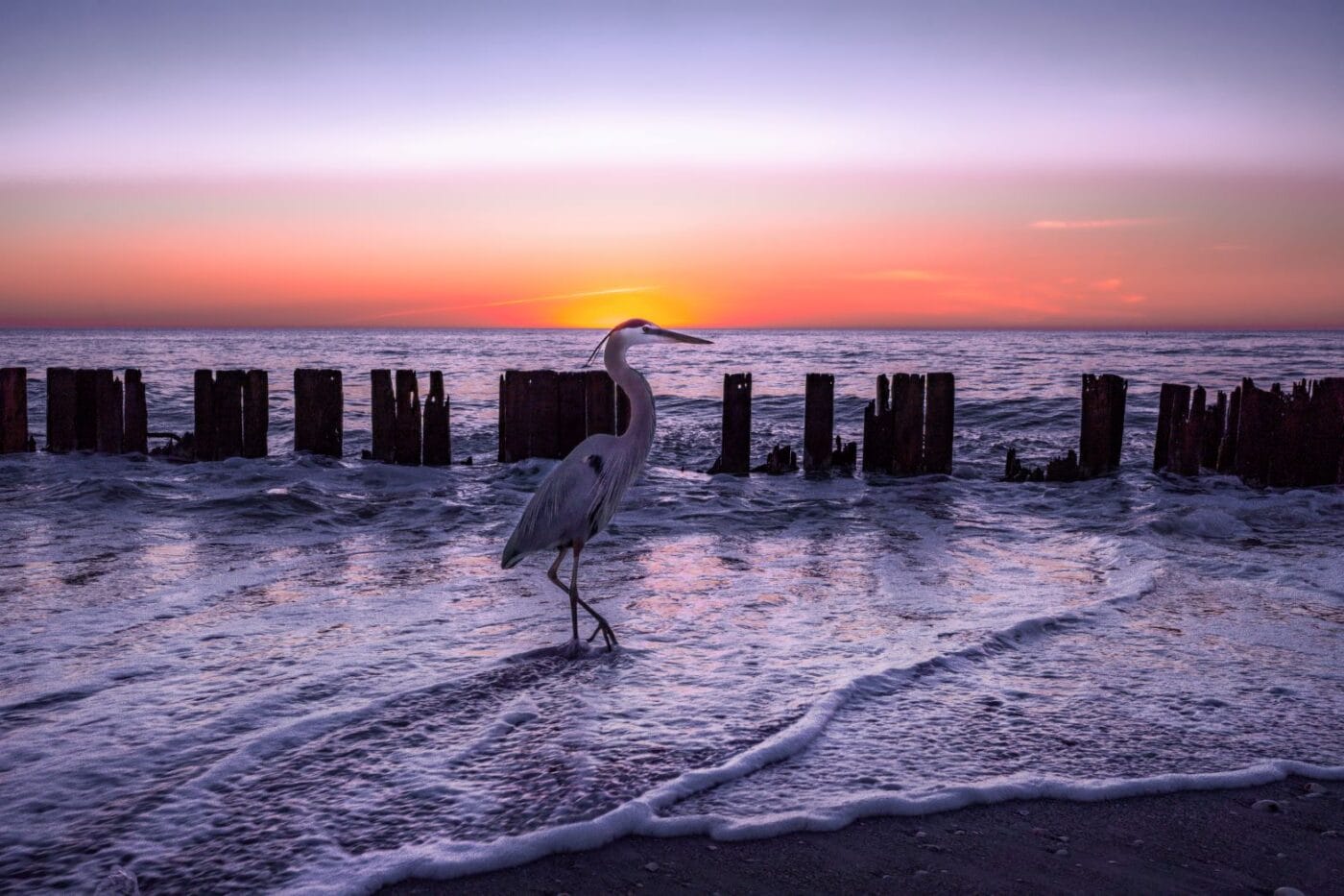 Purple Sunset over Sanibel