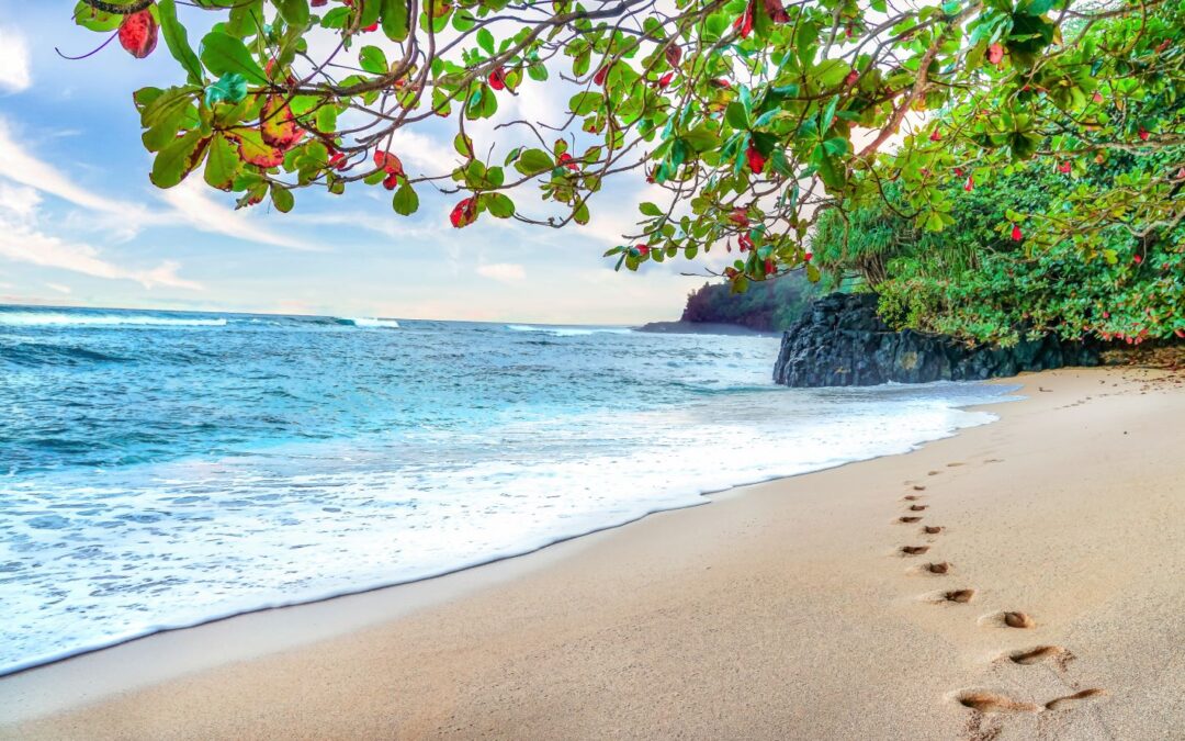 The Story of the “Secret Beach”