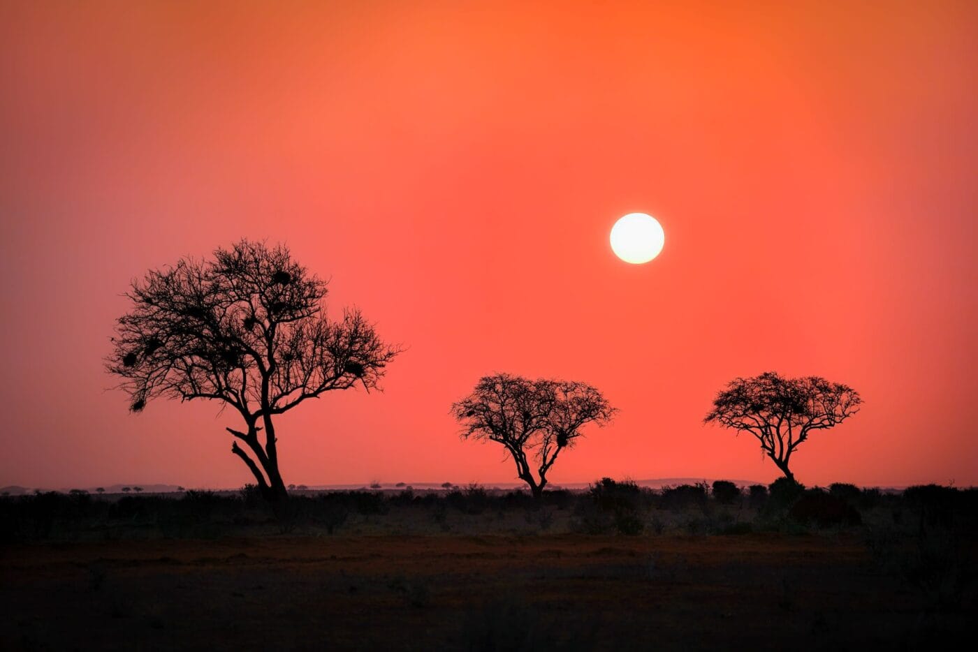 The Sun Falls over Africa