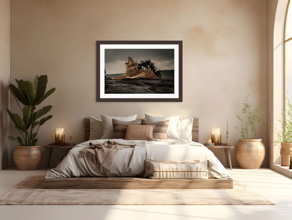 Lion Yawns in the Mara