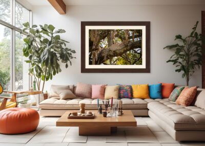 Sleeping in a Sausage Tree