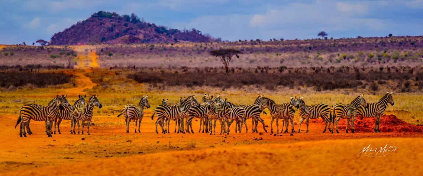 Rainbow Colors of Africa