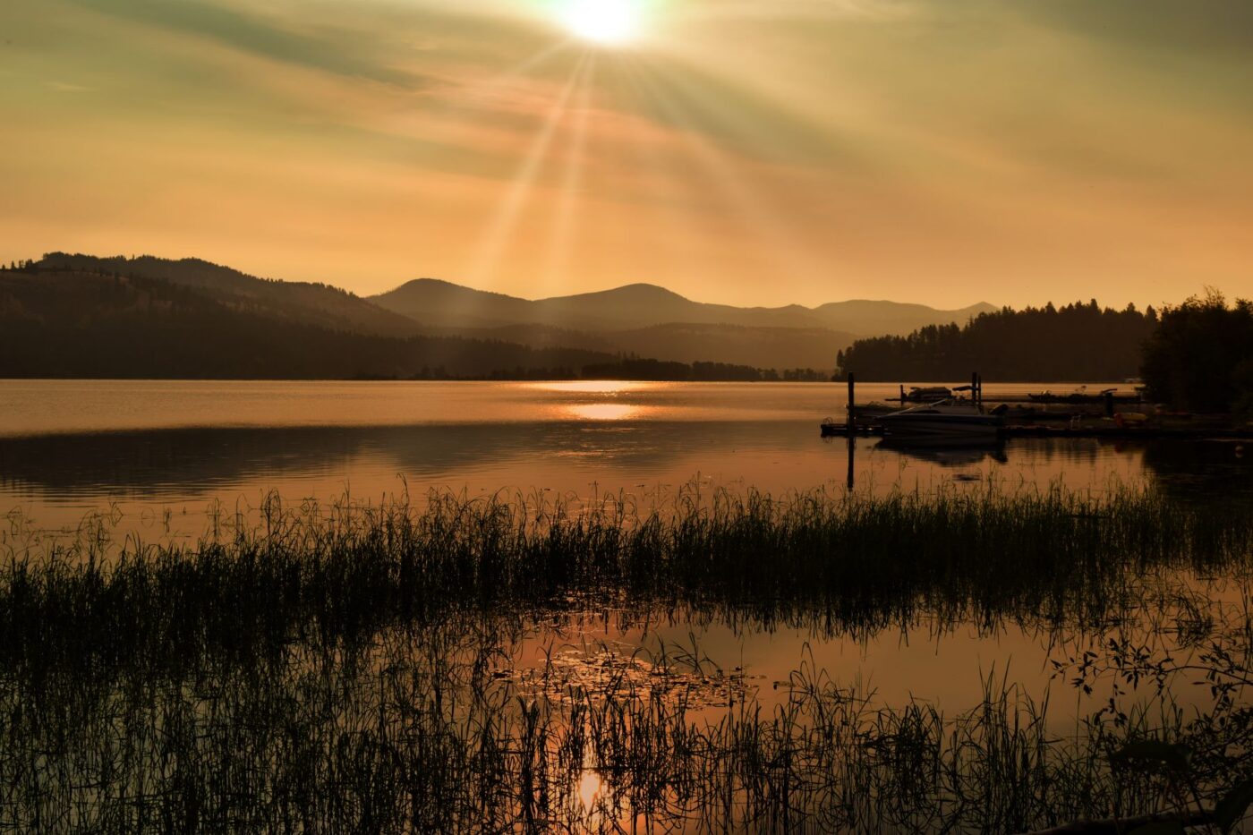 A Tranquil Evening Embrace