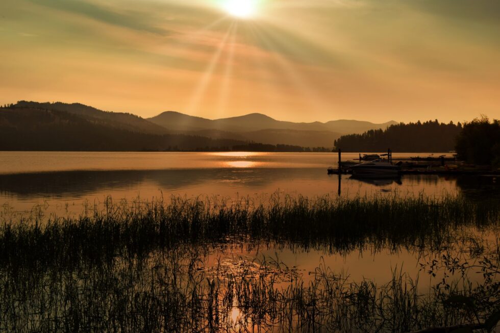 A Tranquil Evening Embrace