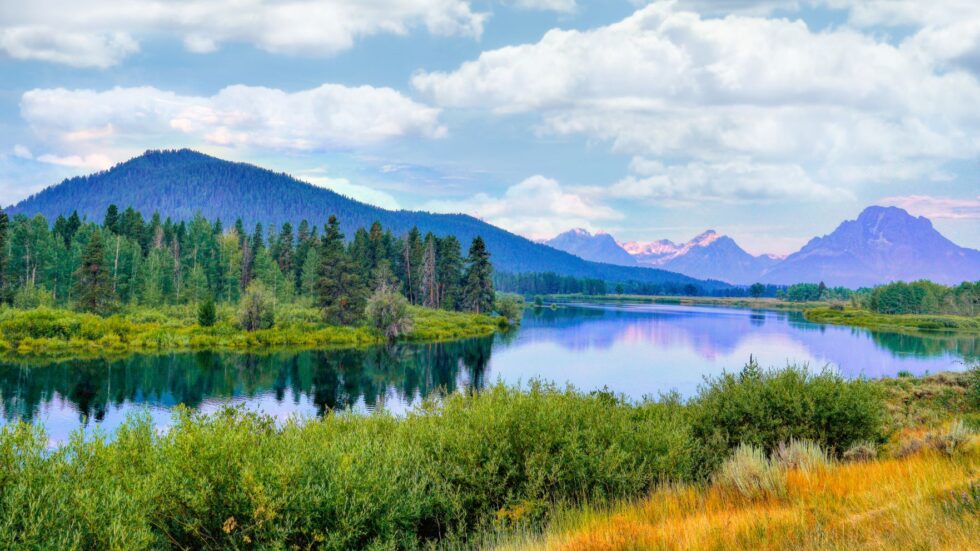 Reflections of Serenity