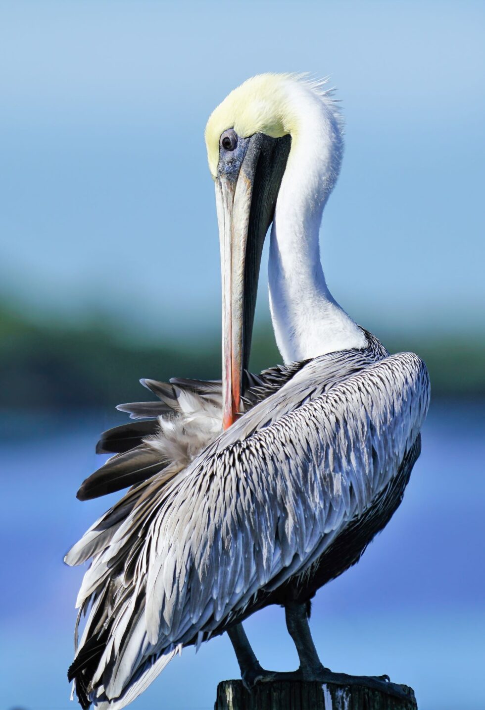 Preparing for a New Day