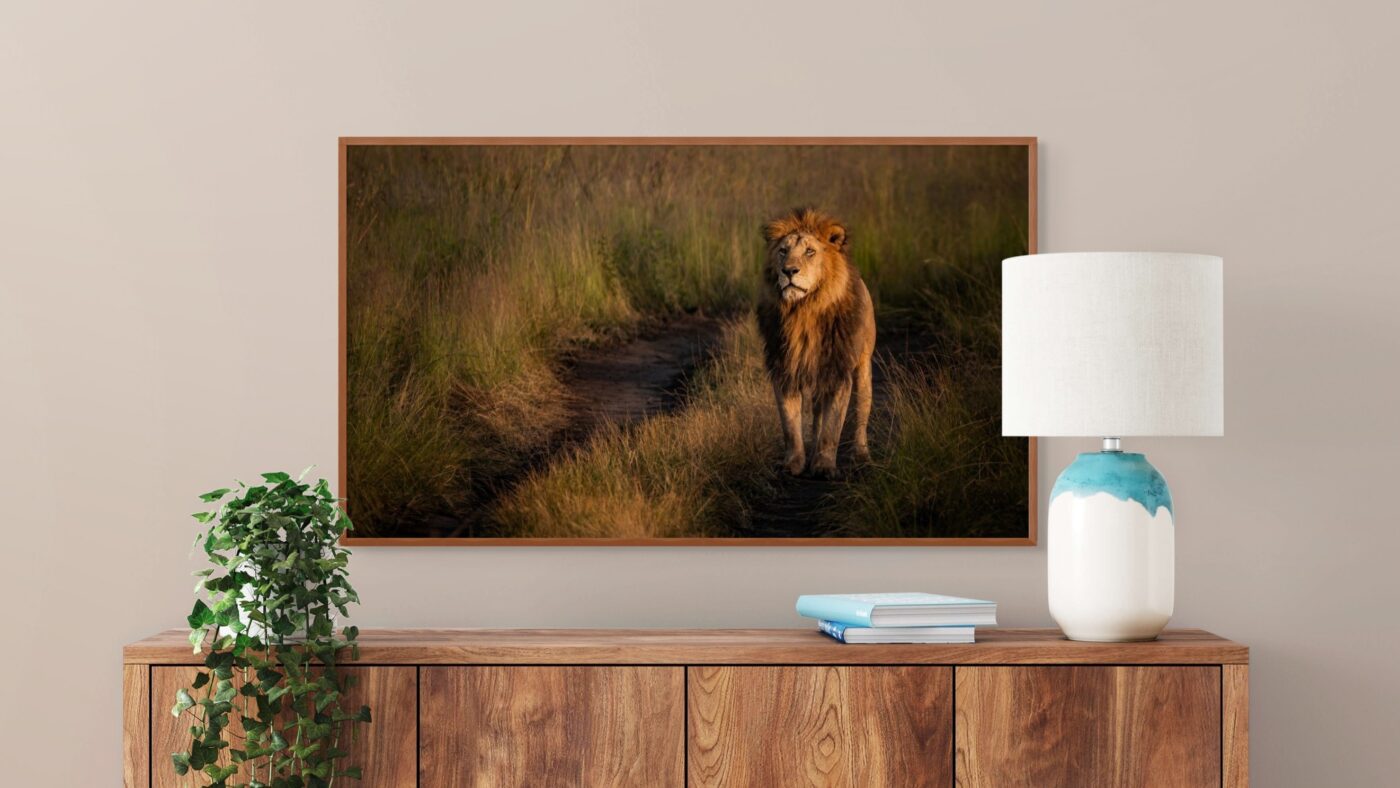 saved room mockup 2 1 scaled