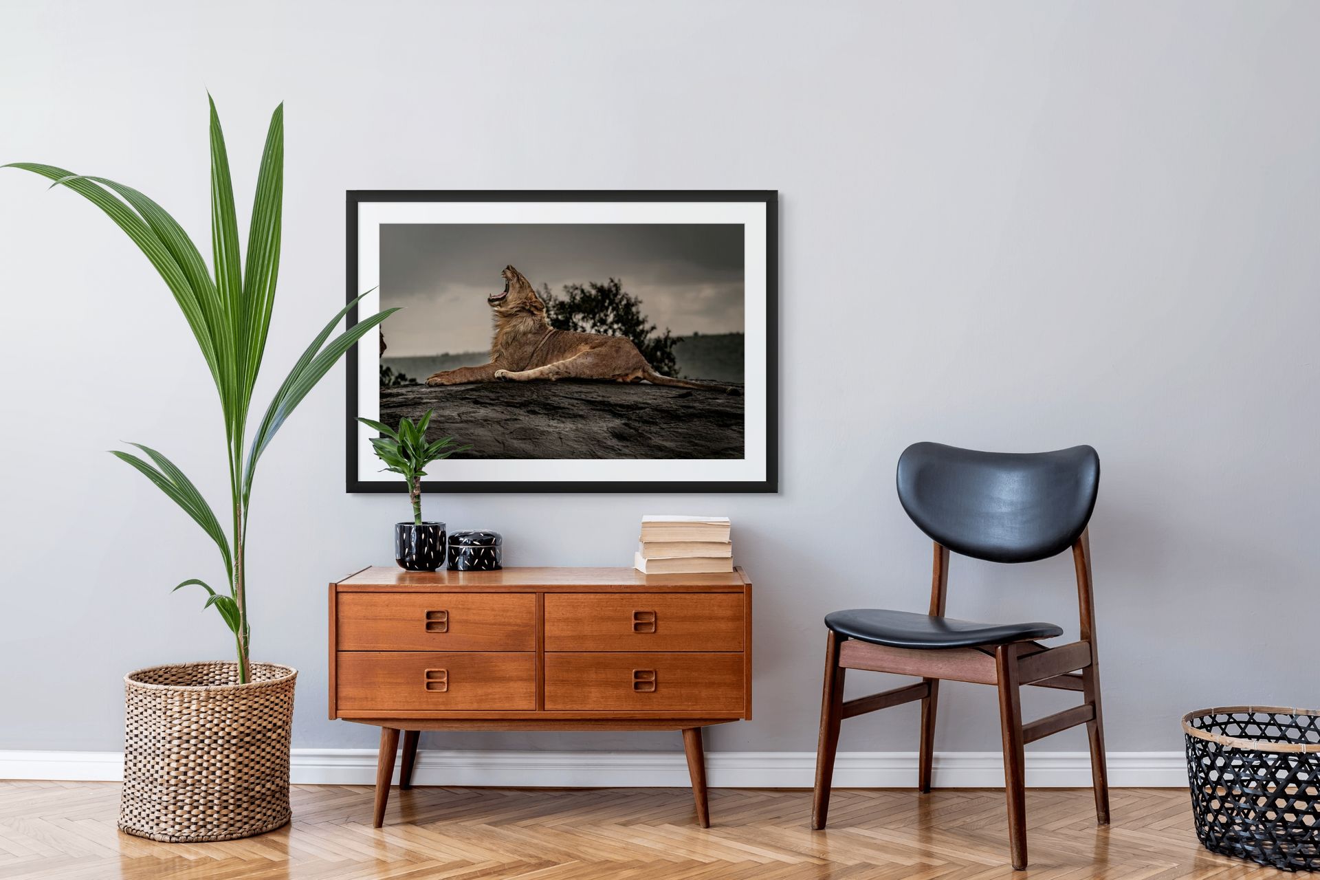 Lion Yawns in the Mara Lion Yawns in the Mara