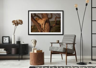 Searching for Movement