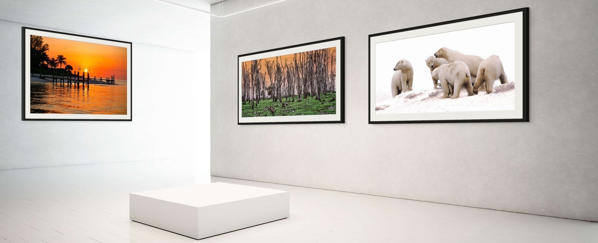 Gallery Interior Gallery Interior