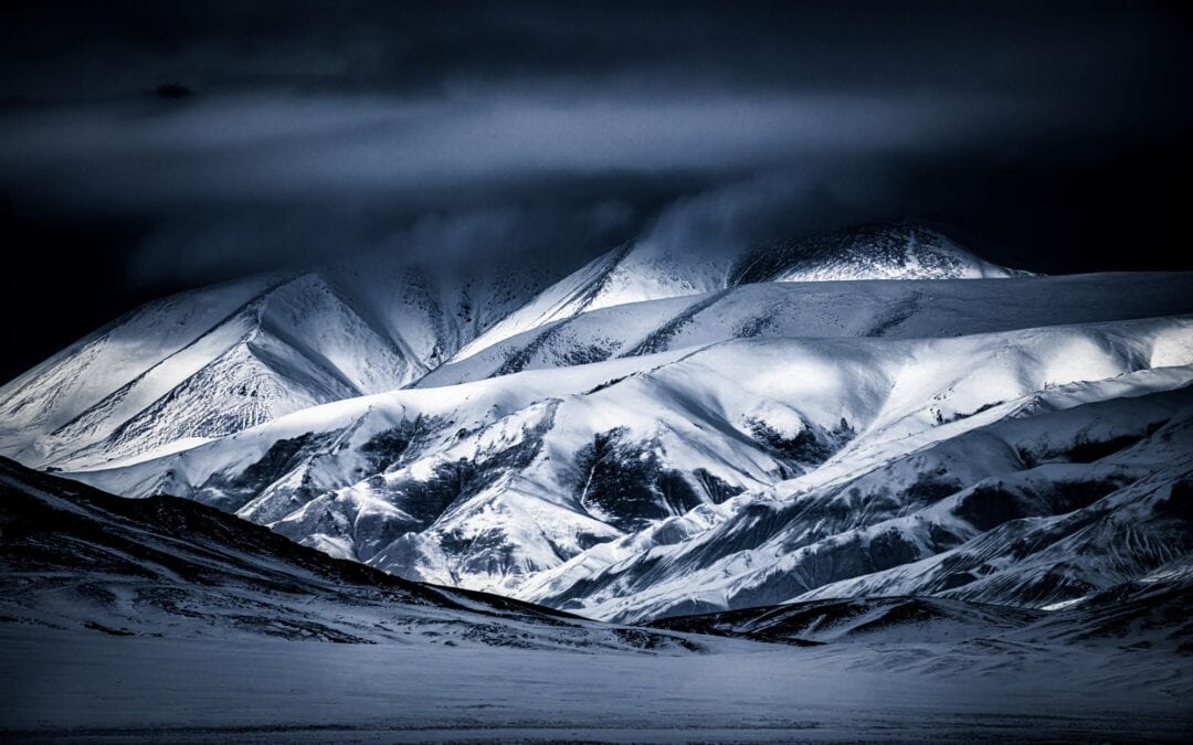Shooting in Mongolia