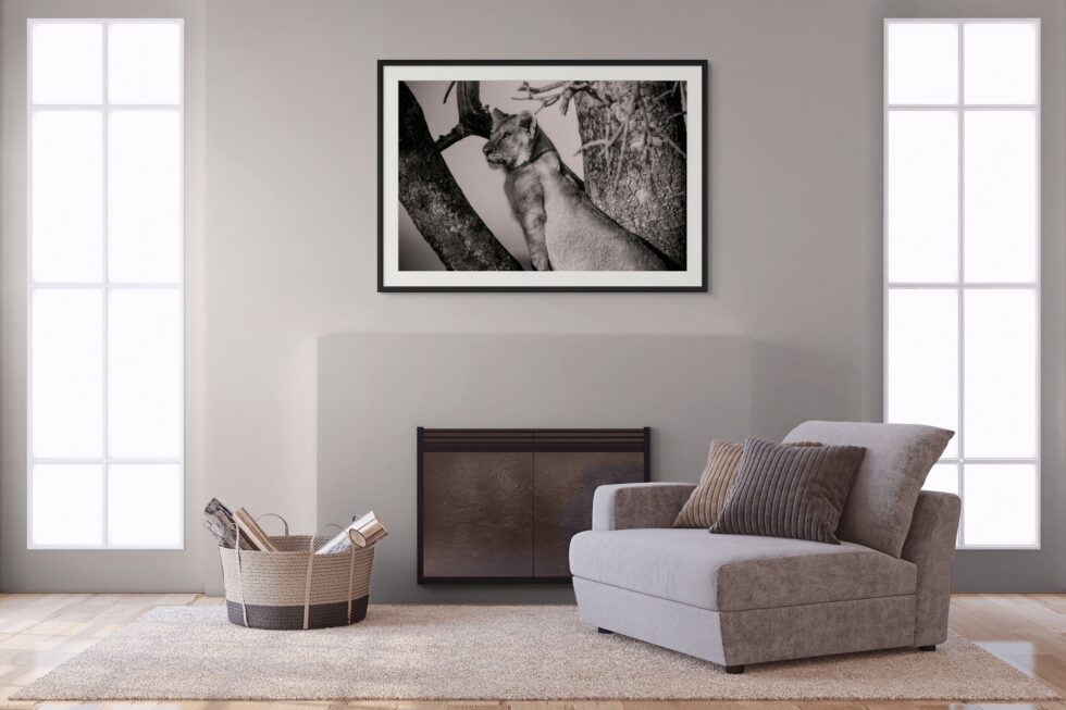 A Lion's Ascent to Serenity