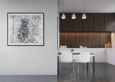 Leopard Cub Hidden In The Golden Grass