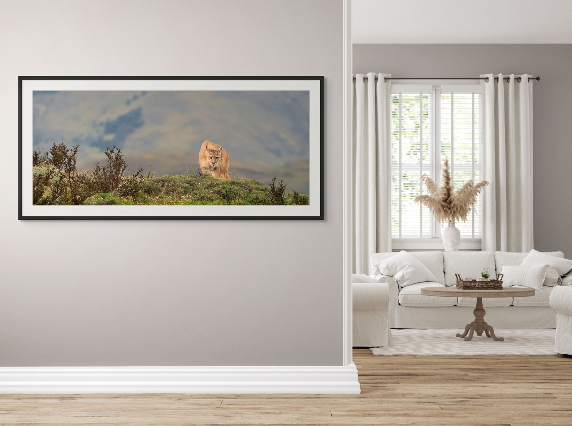 spirit of patagonia revised medium (1)