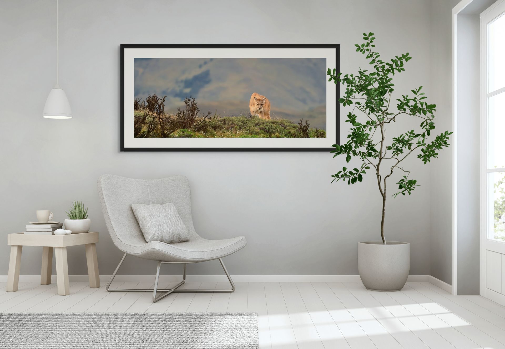 spirit of patagonia revised medium (2)