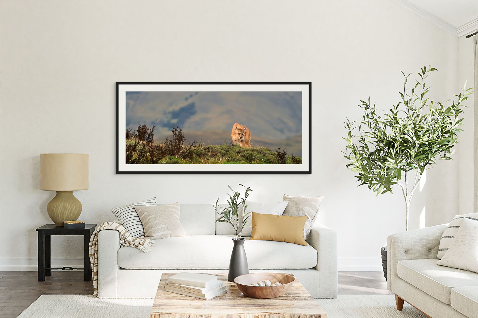 spirit of patagonia revised medium (3)