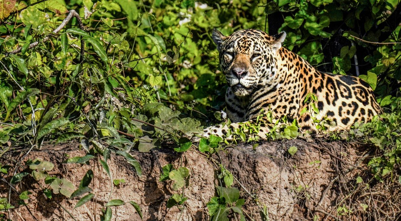 Waiting and Watching