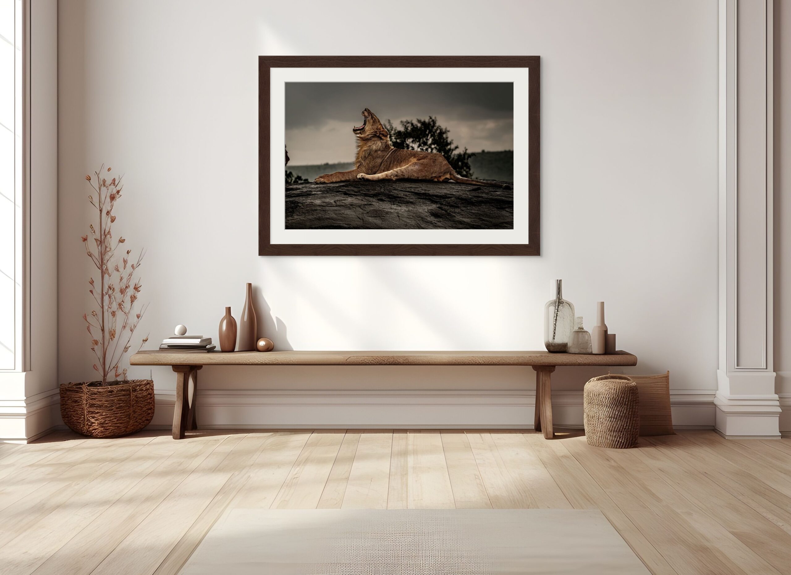 a lion yawns in the mara full (2)