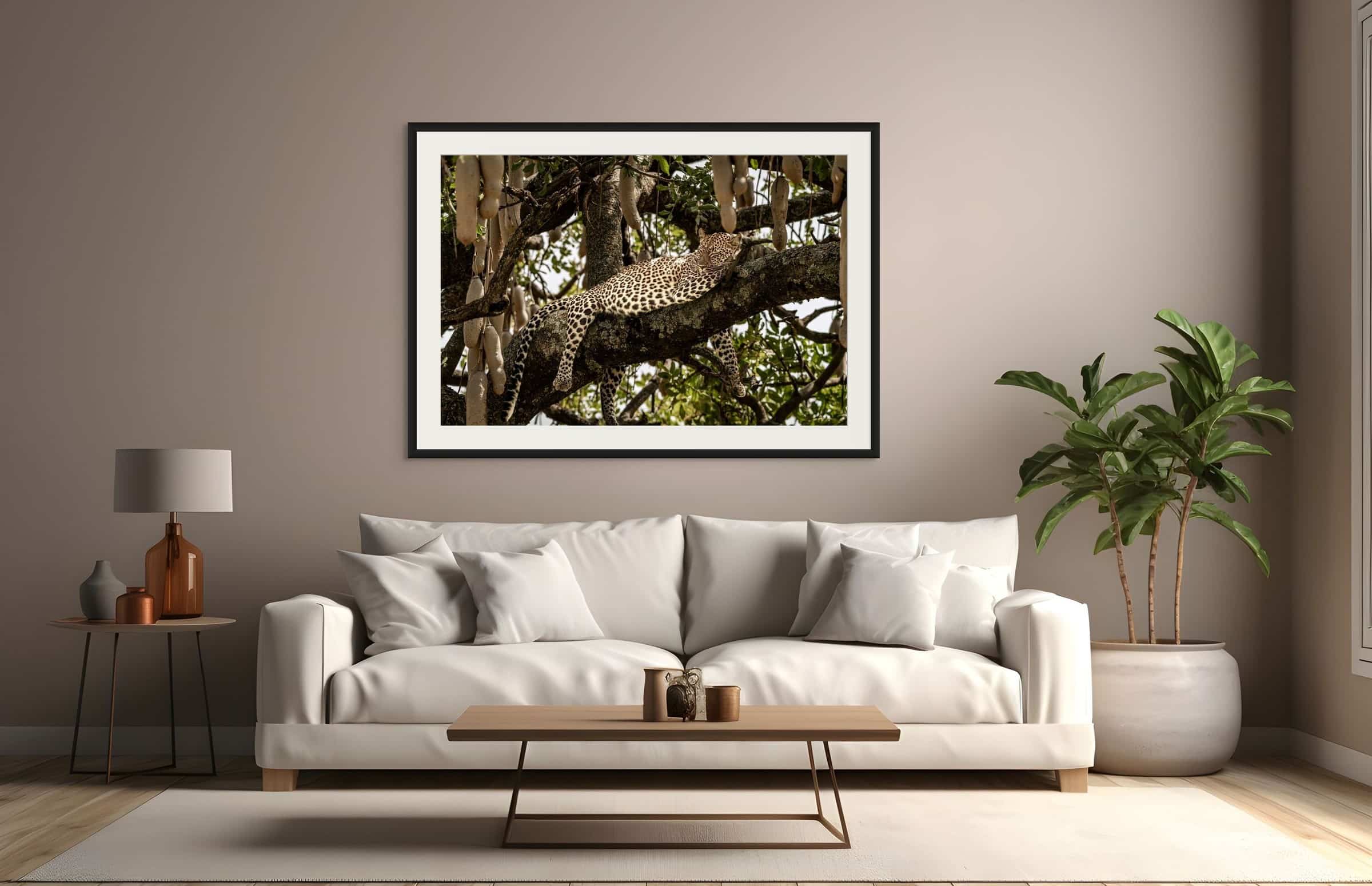 sleeping in a sausage tree 2 2