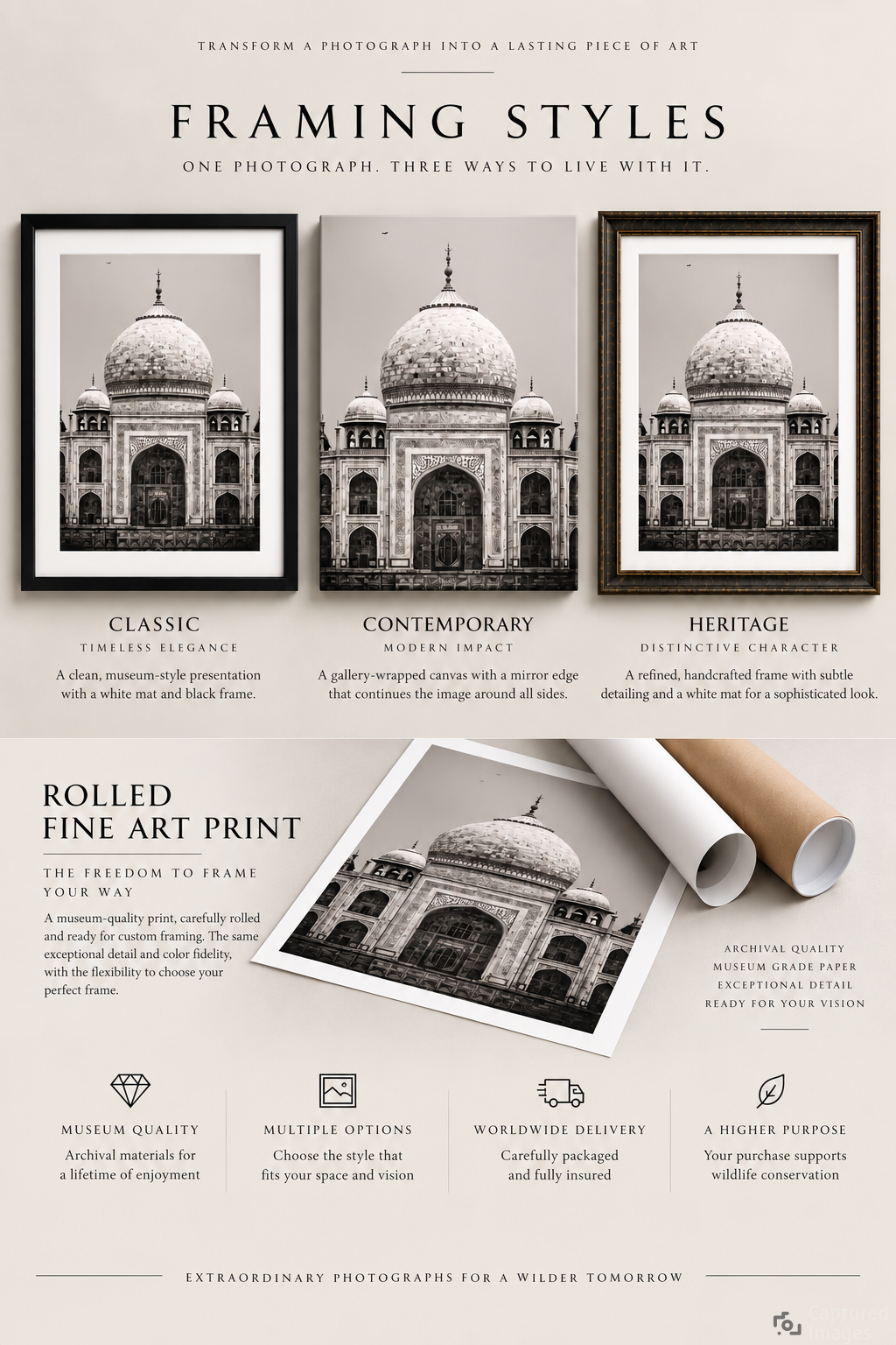 Framing Options