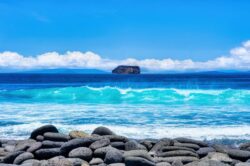 Deep Blue Deep Blue